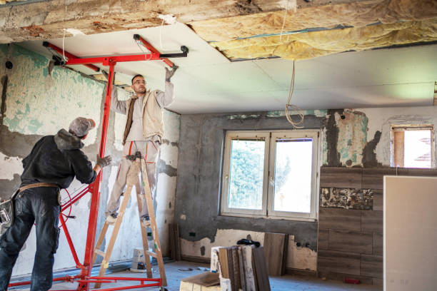 Best Insulation Maintenance and Repair in Malta, IL